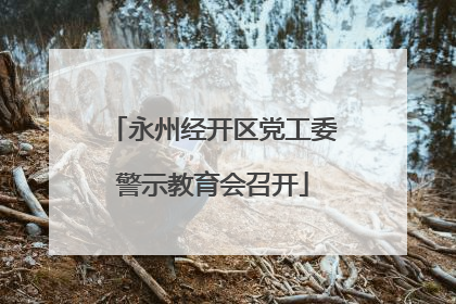 永州经开区党工委警示教育会召开