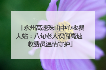 永州高速珠山中心收费大站：八旬老人误闯高速 收费员温情守护