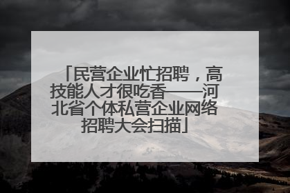 民营企业忙招聘，高技能人才很吃香——河北省个体私营企业网络招聘大会扫描
