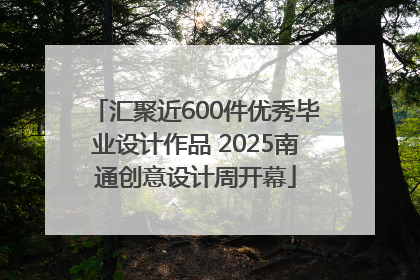 汇聚近600件优秀毕业设计作品 2025南通创意设计周开幕
