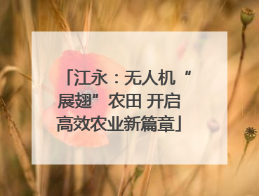 江永：无人机“展翅”农田 开启高效农业新篇章