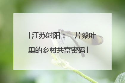江苏射阳：一片桑叶里的乡村共富密码