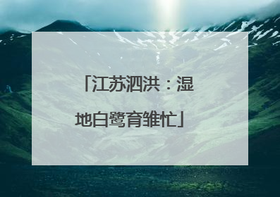 江苏泗洪：湿地白鹭育雏忙