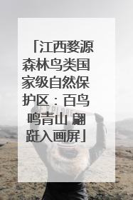 江西婺源森林鸟类国家级自然保护区：百鸟鸣青山 翩跹入画屏