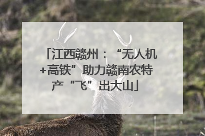 江西赣州：“无人机+高铁”助力赣南农特产“飞”出大山