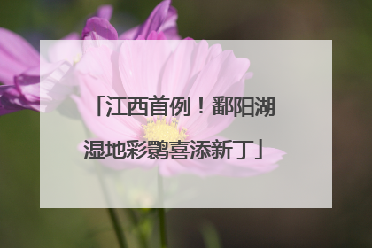 江西首例！鄱阳湖湿地彩鹮喜添新丁