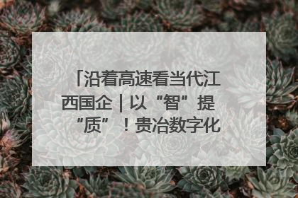 沿着高速看当代江西国企｜以“智”提“质”！贵冶数字化转型迈出新步伐