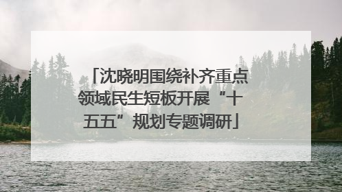 沈晓明围绕补齐重点领域民生短板开展“十五五”规划专题调研