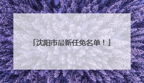 沈阳市最新任免名单！
