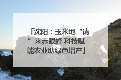 沈阳：玉米地“请”来赤眼蜂 科技赋能农业助绿色增产