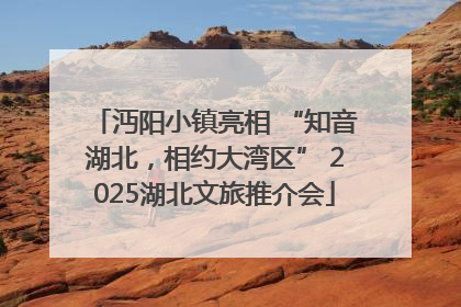 沔阳小镇亮相 “知音湖北，相约大湾区” 2025湖北文旅推介会