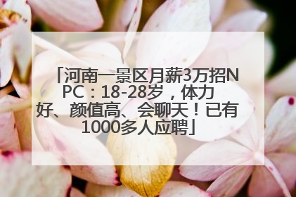 河南一景区月薪3万招NPC：18-28岁，体力好、颜值高、会聊天！已有1000多人应聘