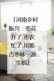 河南乡村振兴：枣花开了 枣农忙了 川塬古枣林一派生机