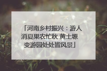 河南乡村振兴：游人消夏果农忙秋 黄土塬变游园处处皆风景