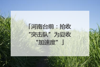 河南台前：抢收“突击队”为夏收“加速度”