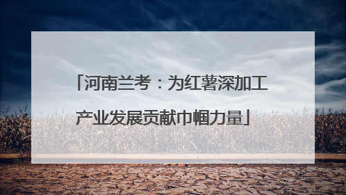 河南兰考：为红薯深加工产业发展贡献巾帼力量