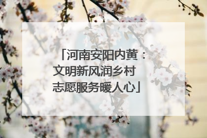 河南安阳内黄：文明新风润乡村 志愿服务暖人心