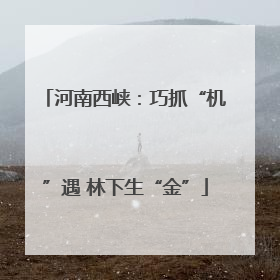 河南西峡：巧抓“机”遇 林下生“金”