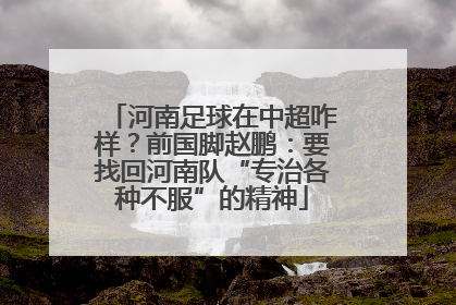 河南足球在中超咋样？前国脚赵鹏：要找回河南队“专治各种不服”的精神