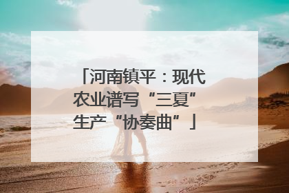 河南镇平：现代农业谱写“三夏”生产“协奏曲”