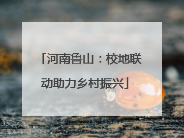 河南鲁山：校地联动助力乡村振兴
