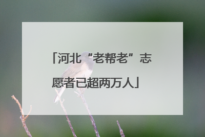 河北“老帮老”志愿者已超两万人