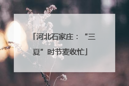 河北石家庄：“三夏”时节麦收忙