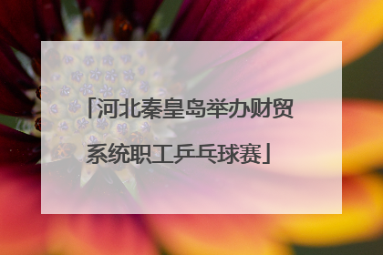 河北秦皇岛举办财贸系统职工乒乓球赛