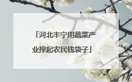 河北丰宁用蔬菜产业撑起农民钱袋子