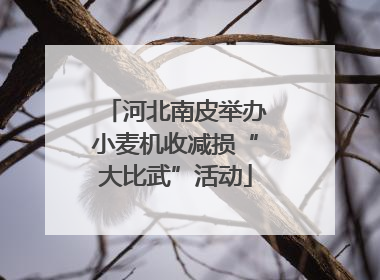 河北南皮举办小麦机收减损“大比武”活动