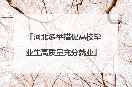 河北多举措促高校毕业生高质量充分就业
