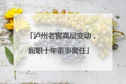 泸州老窖高层变动，履职十年董事离任