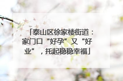泰山区徐家楼街道：家门口“好孕”又“好业”，托起稳稳幸福