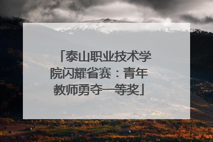 泰山职业技术学院闪耀省赛：青年教师勇夺一等奖