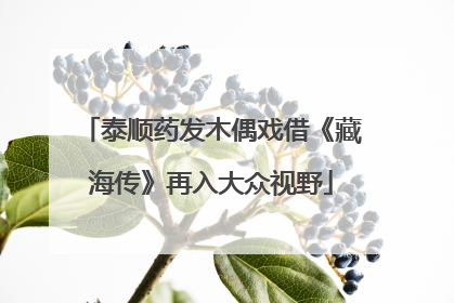 泰顺药发木偶戏借《藏海传》再入大众视野
