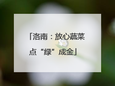 洛南：放心蔬菜点“绿”成金