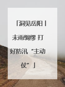 洞见岳阳丨未雨绸缪 打好防汛“主动仗”