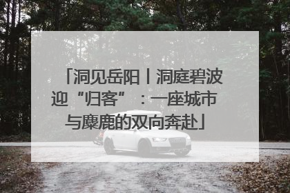 洞见岳阳丨洞庭碧波迎“归客”：一座城市与麋鹿的双向奔赴