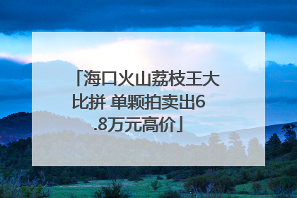 海口火山荔枝王大比拼 单颗拍卖出6.8万元高价