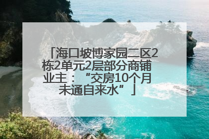 海口坡博家园二区2栋2单元2层部分商铺业主：“交房10个月未通自来水”