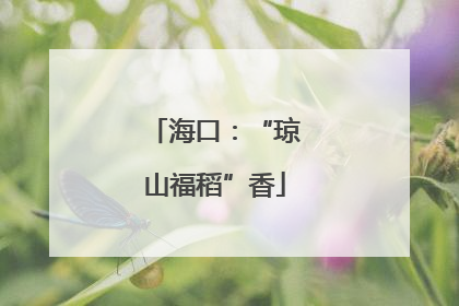 海口：“琼山福稻”香