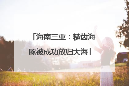 海南三亚：糙齿海豚被成功放归大海
