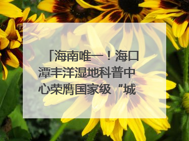 海南唯一！海口潭丰洋湿地科普中心荣膺国家级“城市儿童友好空间建设园区”称号
