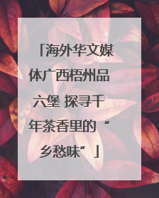 海外华文媒体广西梧州品六堡 探寻千年茶香里的“乡愁味”