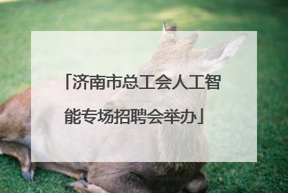 济南市总工会人工智能专场招聘会举办