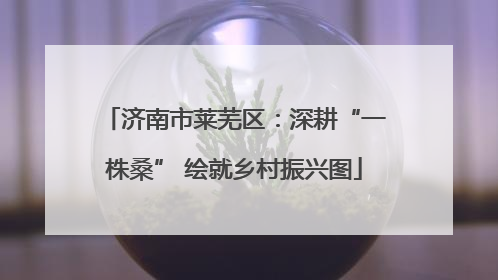 济南市莱芜区：深耕“一株桑” 绘就乡村振兴图