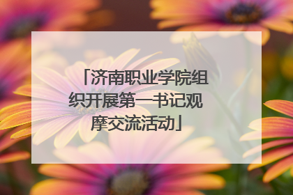 济南职业学院组织开展第一书记观摩交流活动