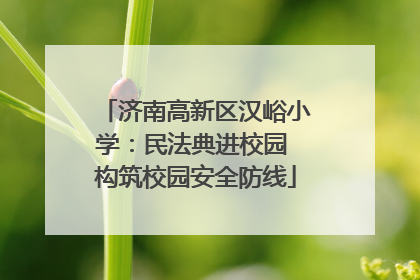 济南高新区汉峪小学：民法典进校园 构筑校园安全防线