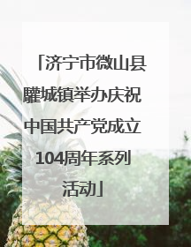 济宁市微山县驩城镇举办庆祝中国共产党成立104周年系列活动