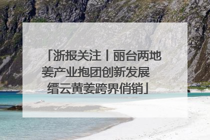 浙报关注丨丽台两地姜产业抱团创新发展 缙云黄姜跨界俏销